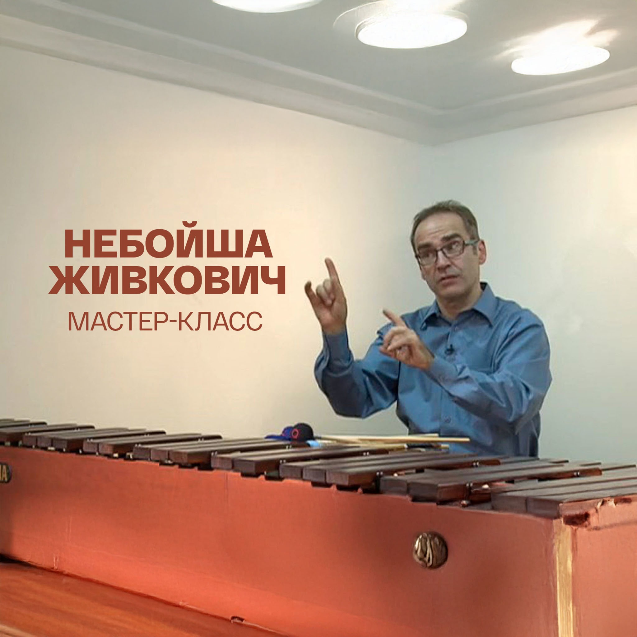 Мастер-класс. Небойша Живкович