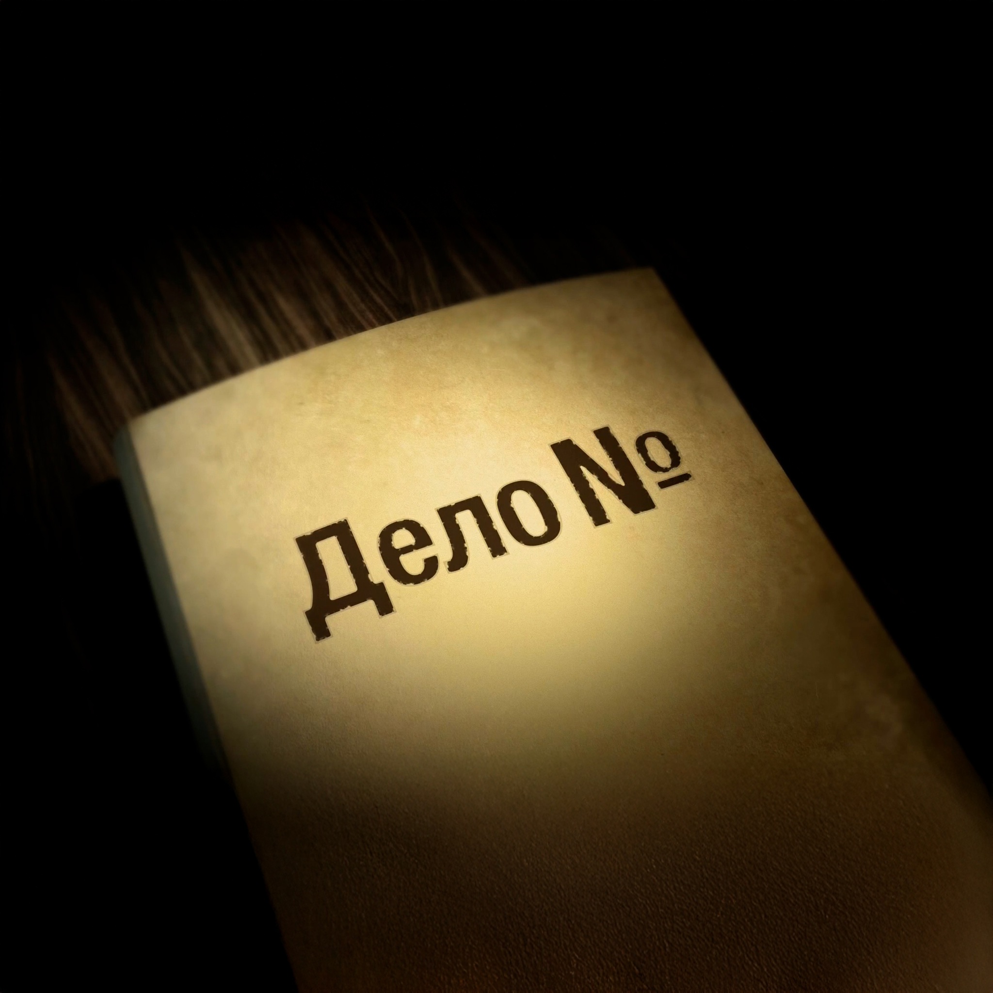 Дело N