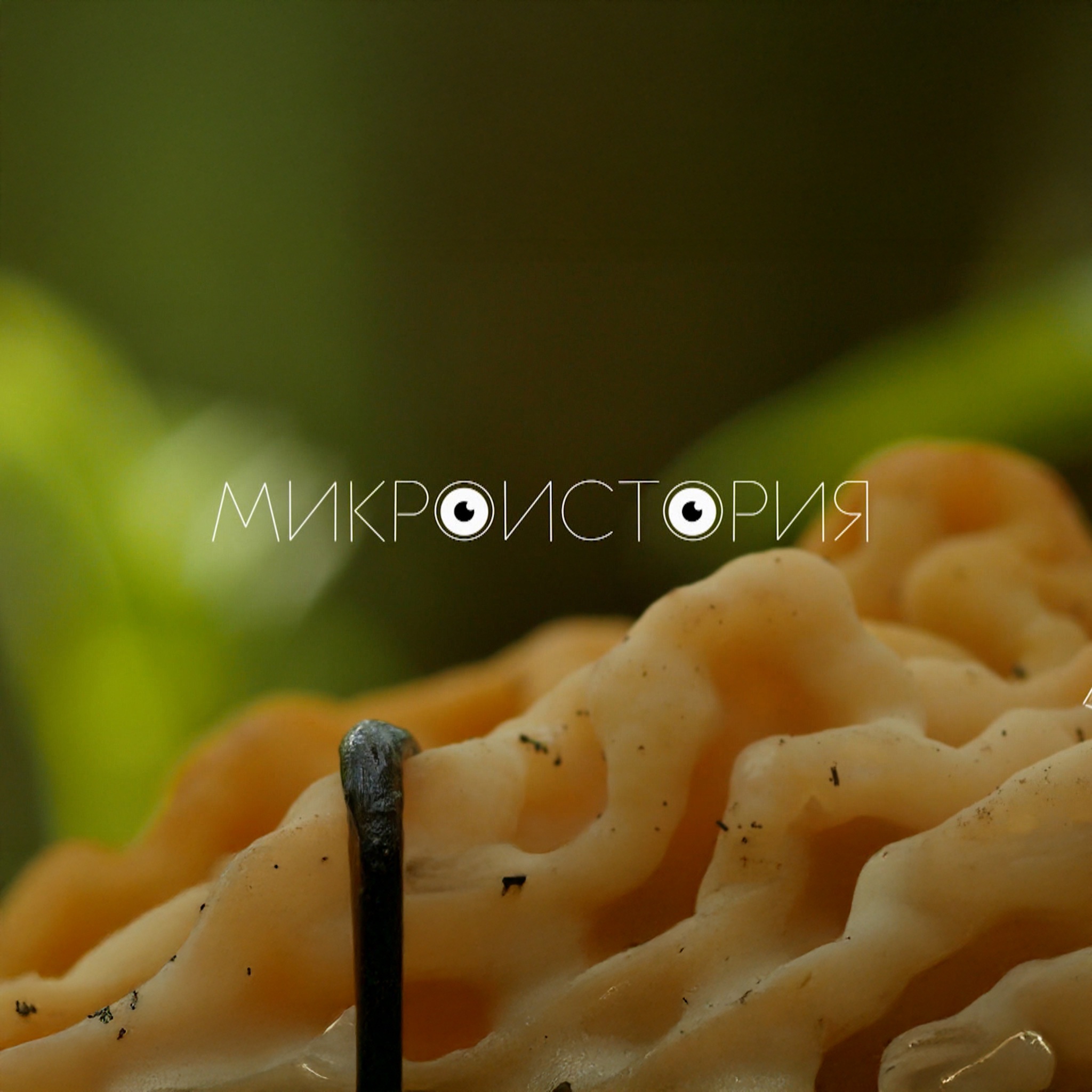 Микроистория