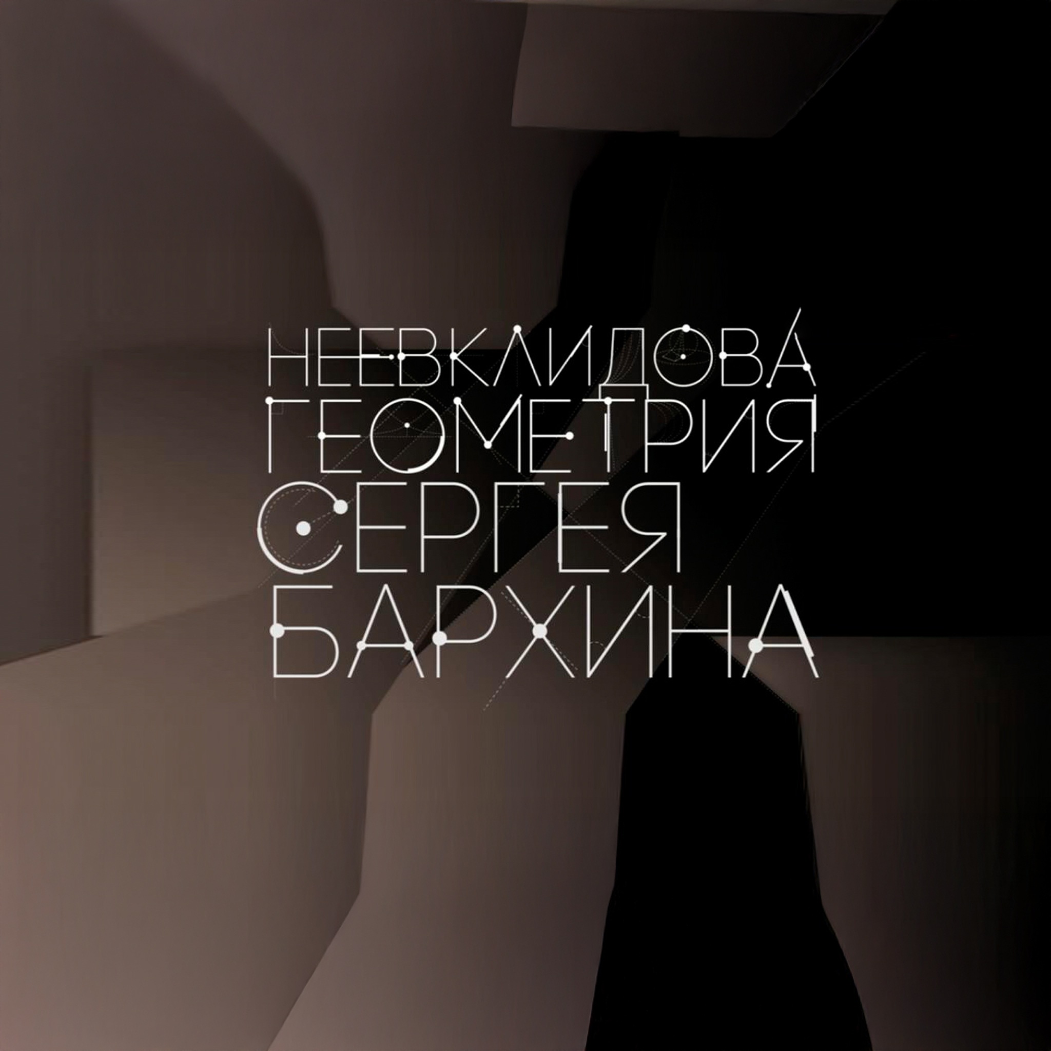Неевклидова геометрия Сергея Бархина