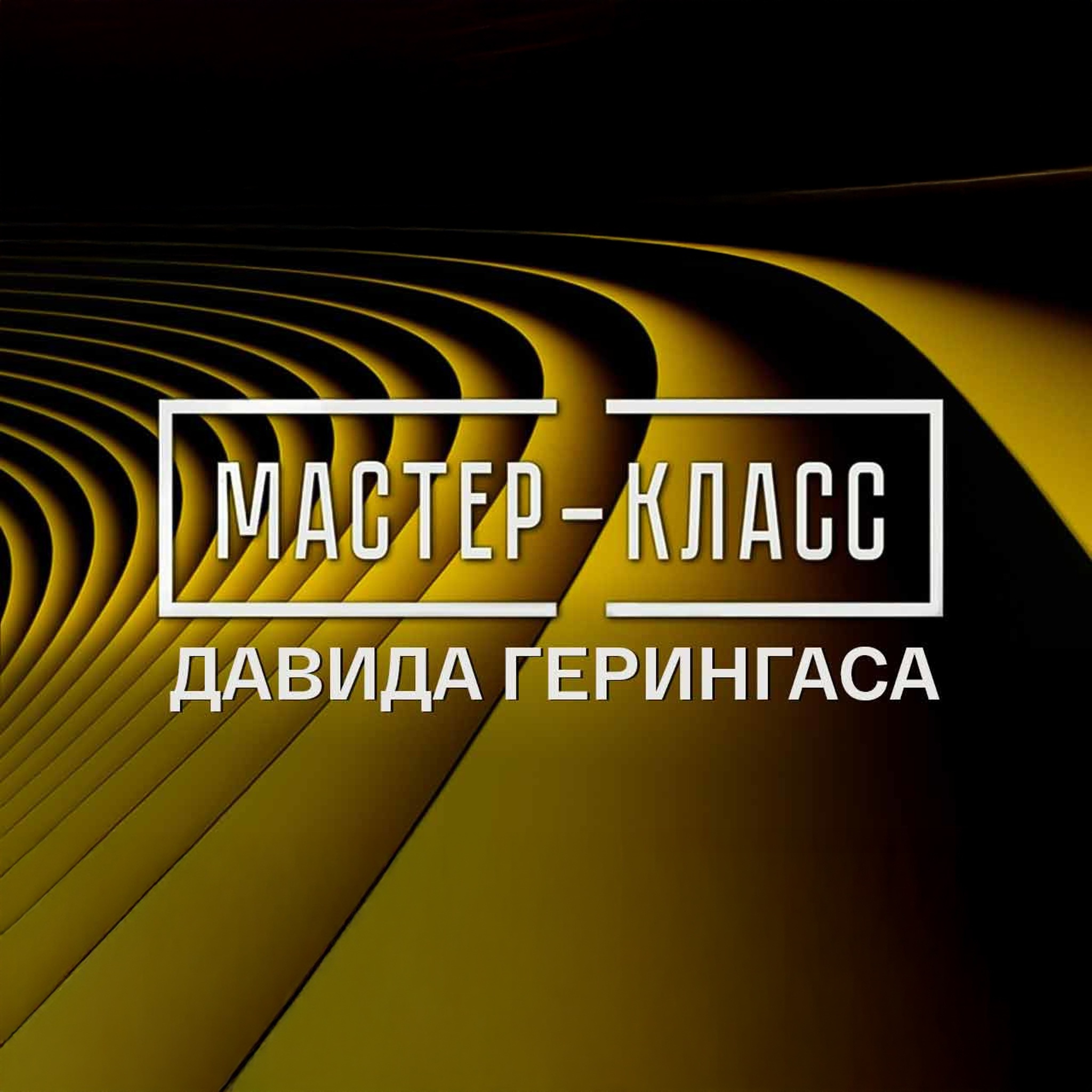 Мастер-класс Давида Герингаса