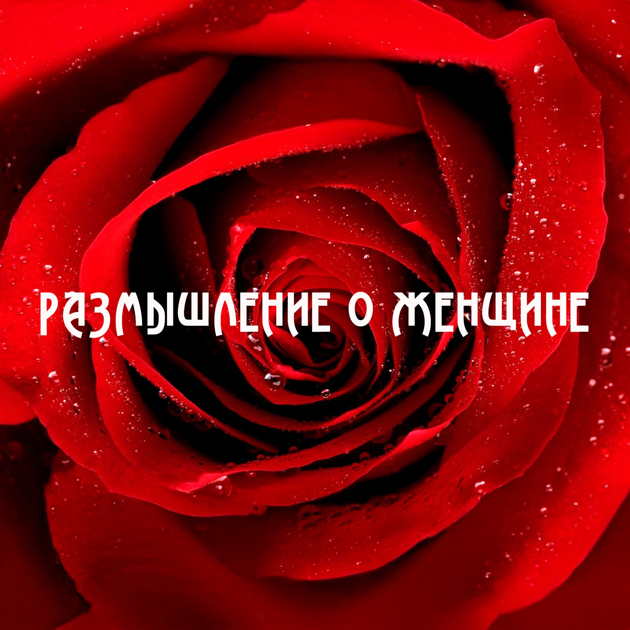 Размышление о женщине. По страницам советского телевидения
