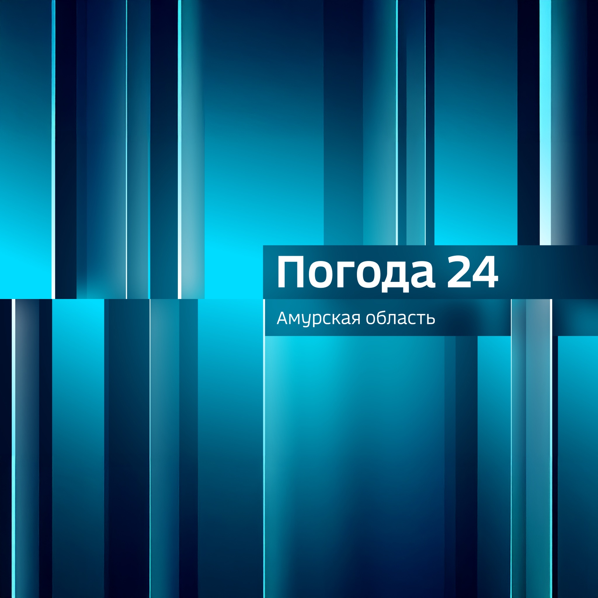Погода 24. Амурская область