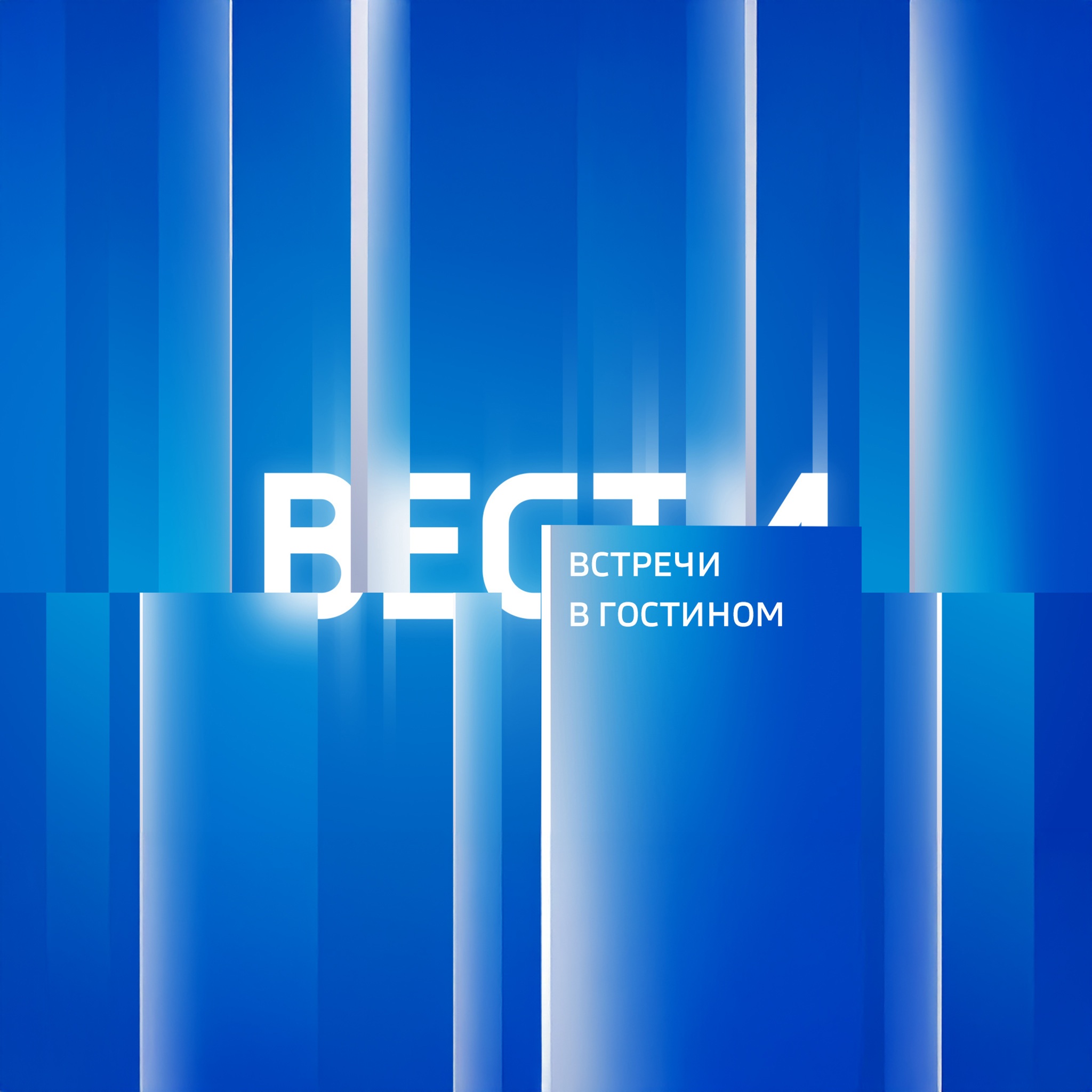 Россия 24. Тула. Встречи в "Гостином"