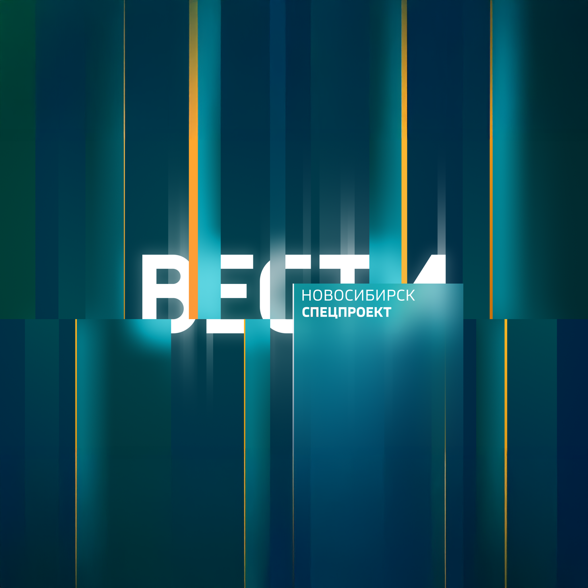 Вести. Новосибирск. Спецпроект
