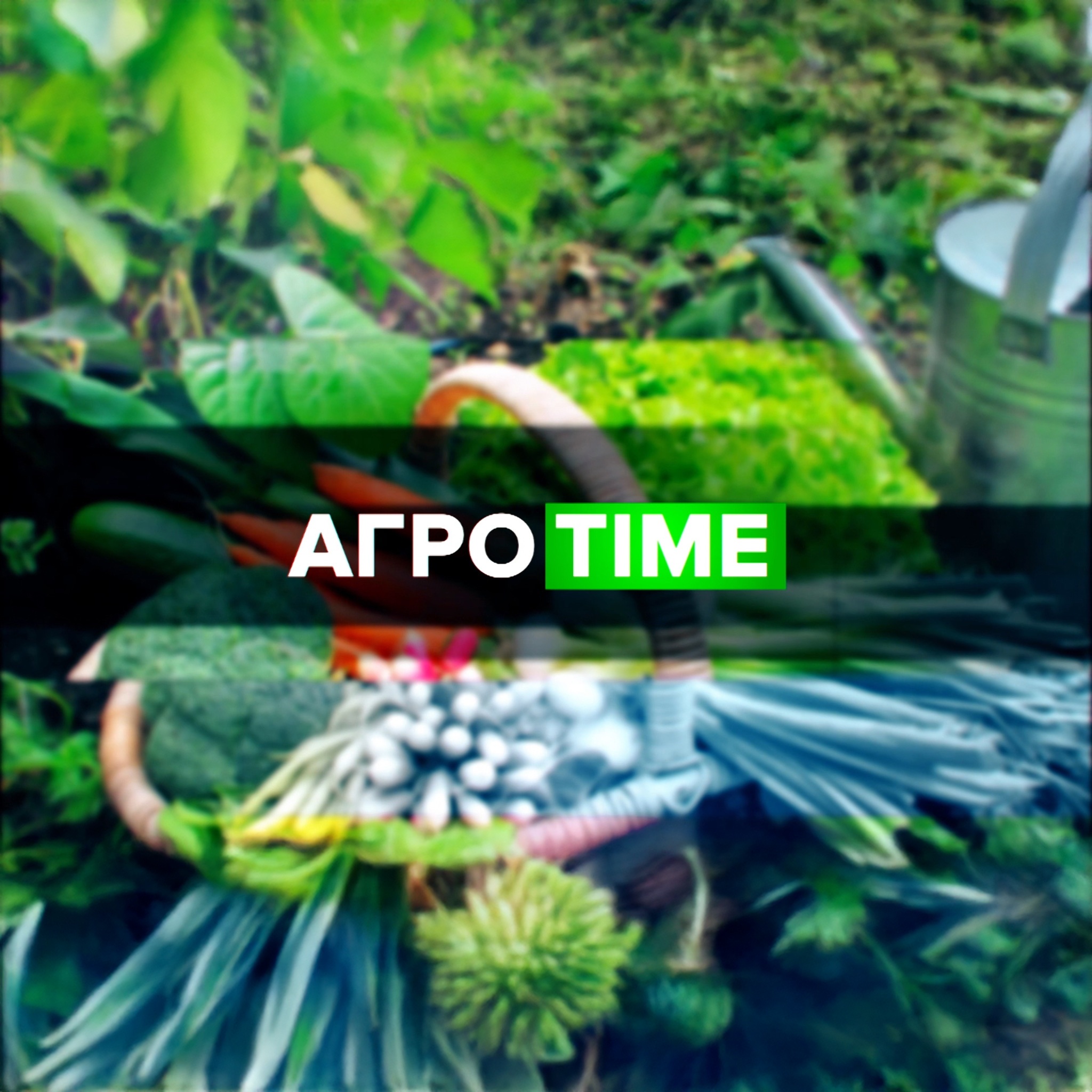Агроtime