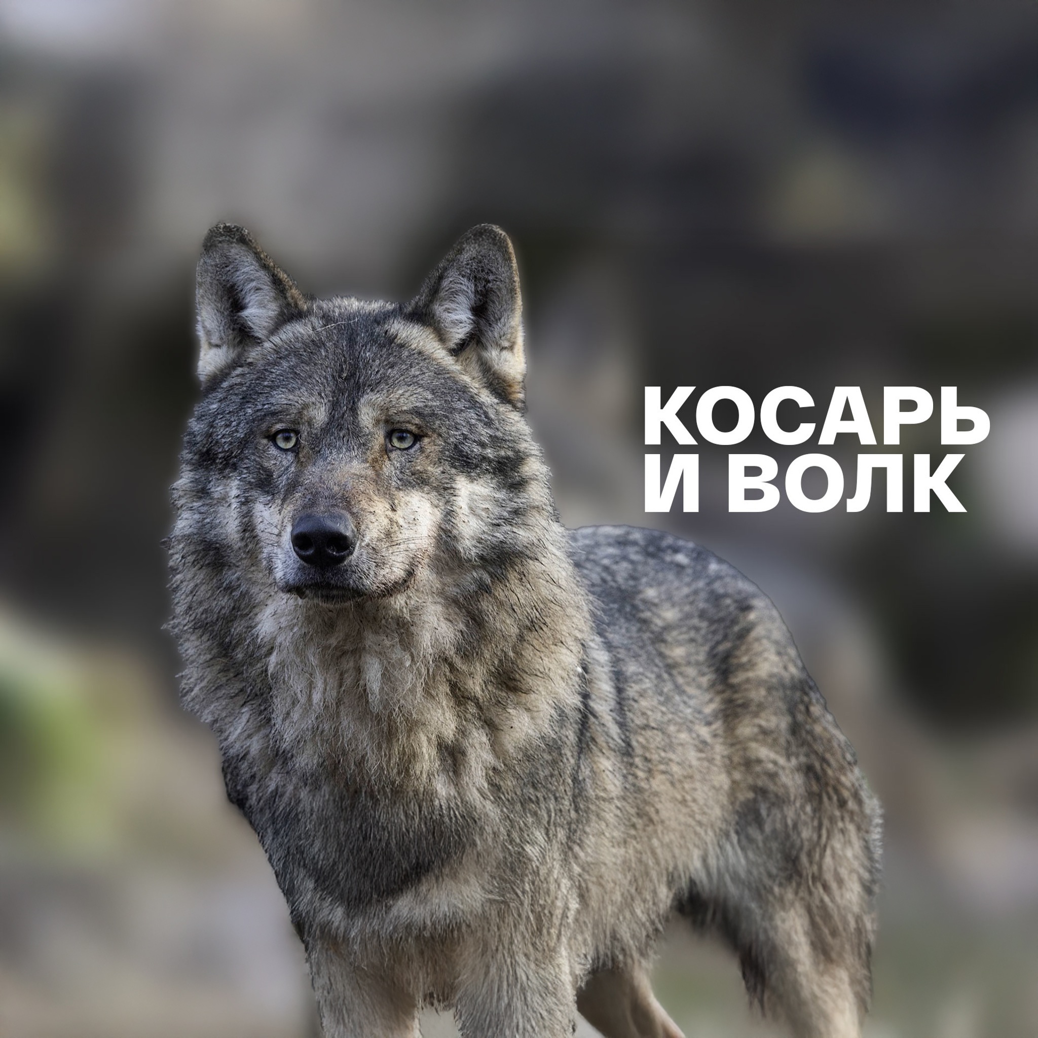 Косарь и Волк. Литовская сказка