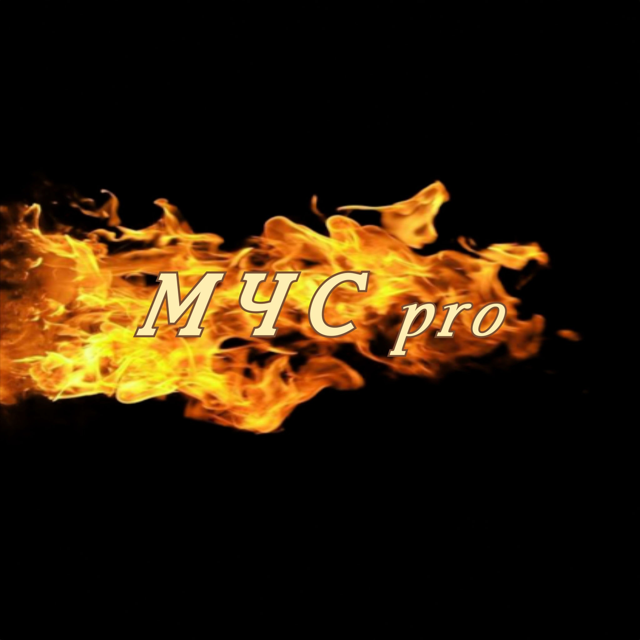 МЧСpro