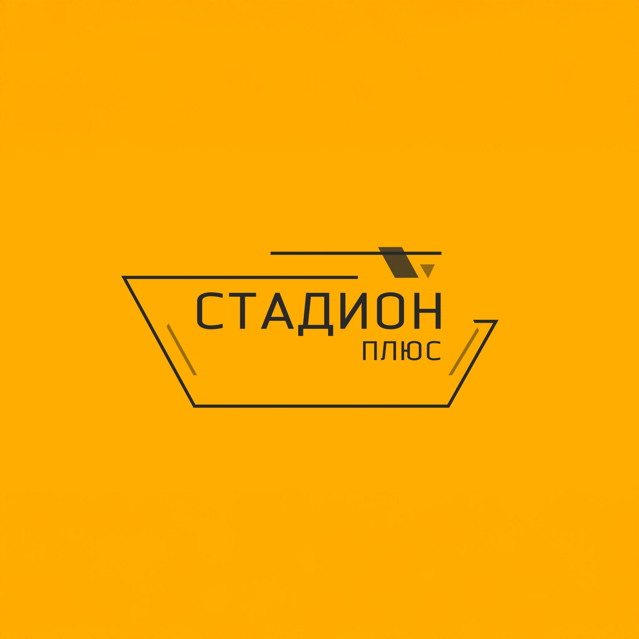 Стадион Плюс. Липецк