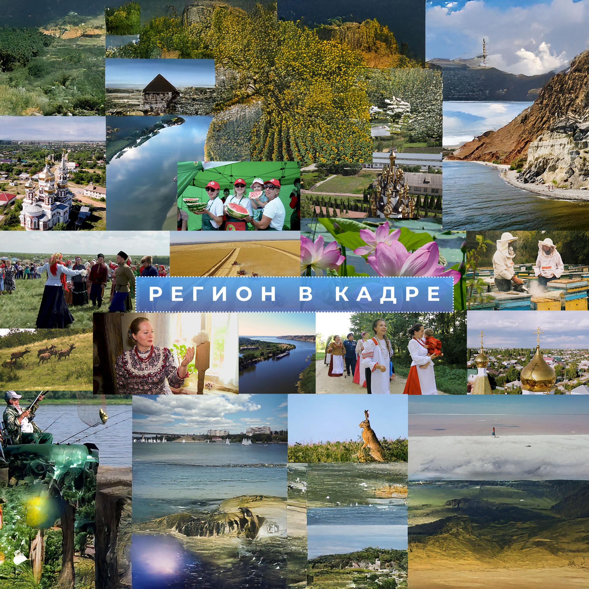 Регион в кадре