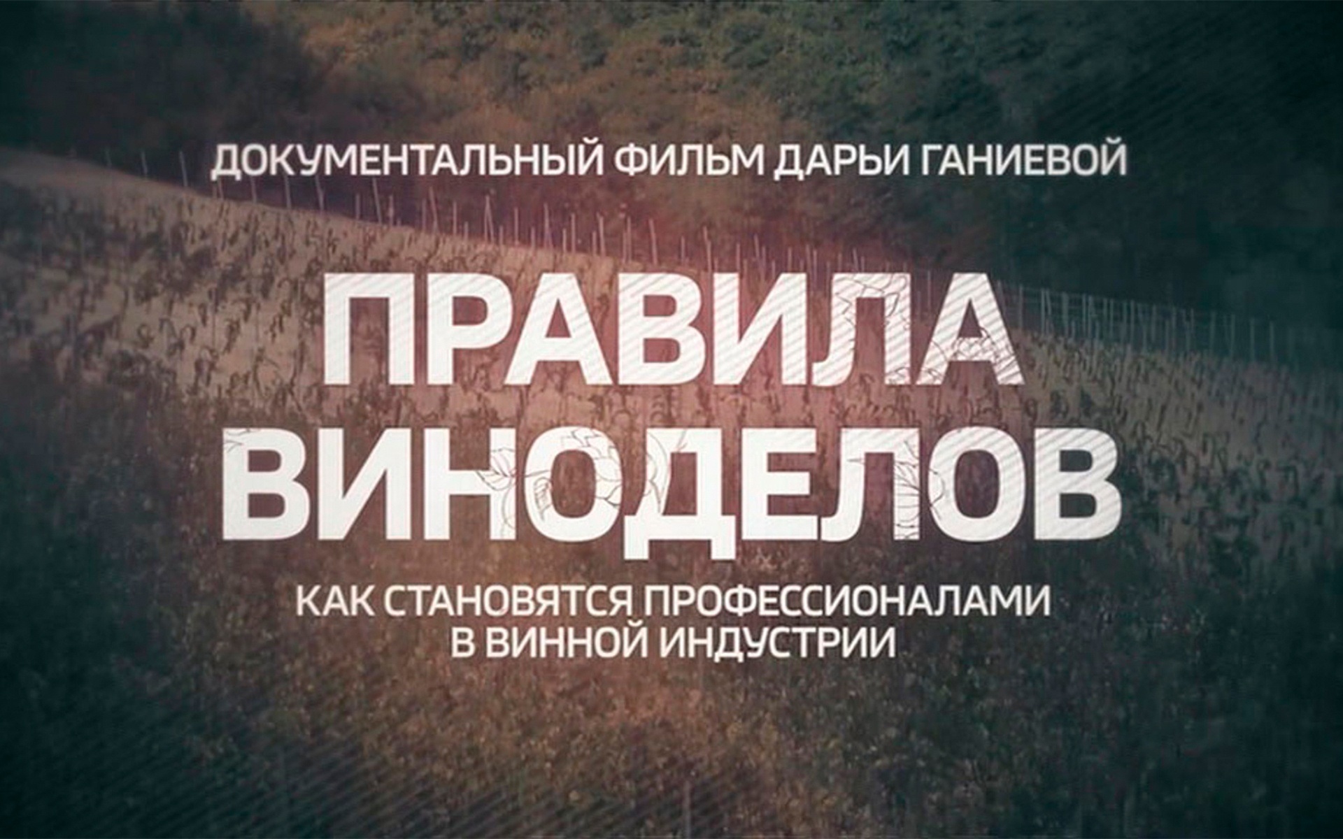 Правила виноделов