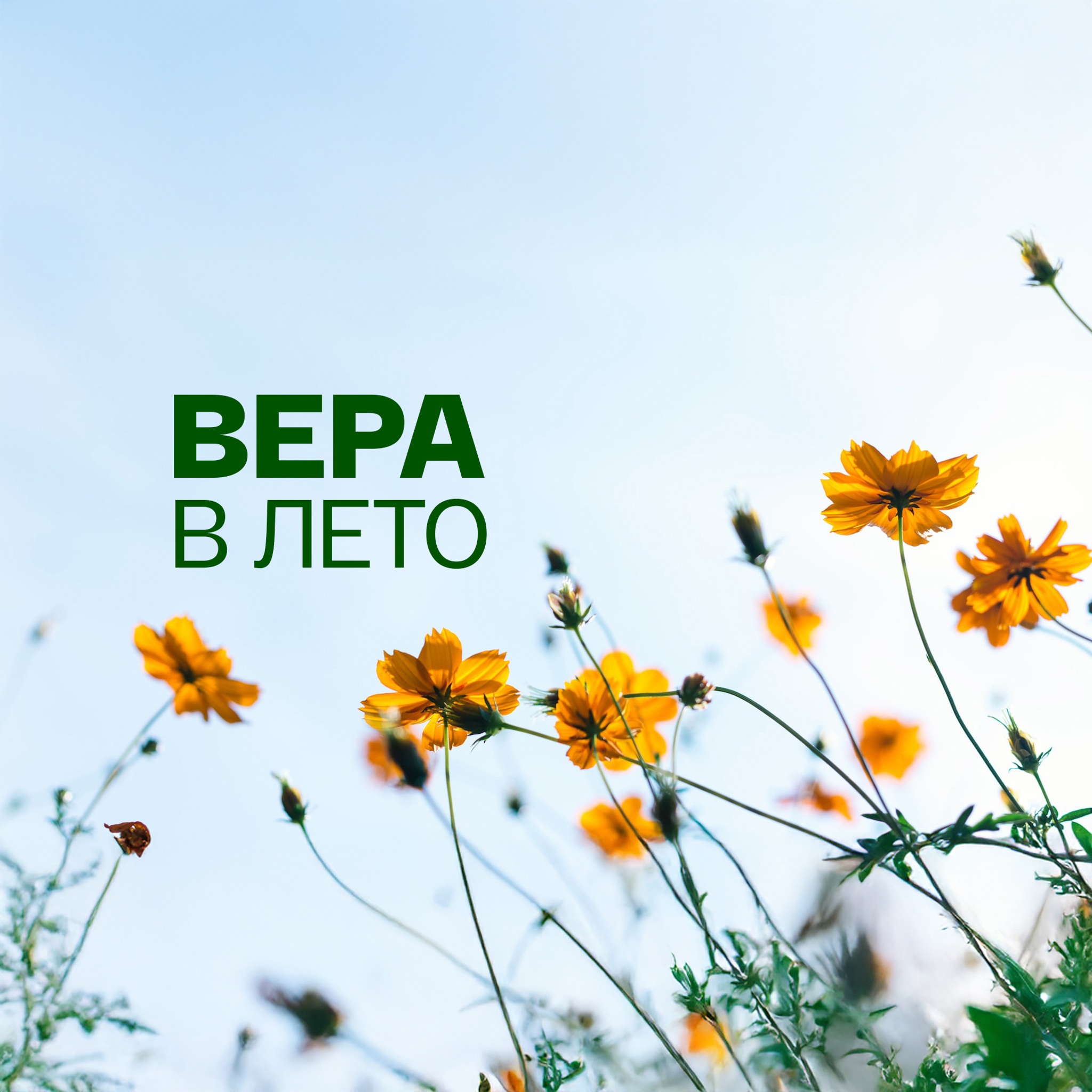 Вера в лето