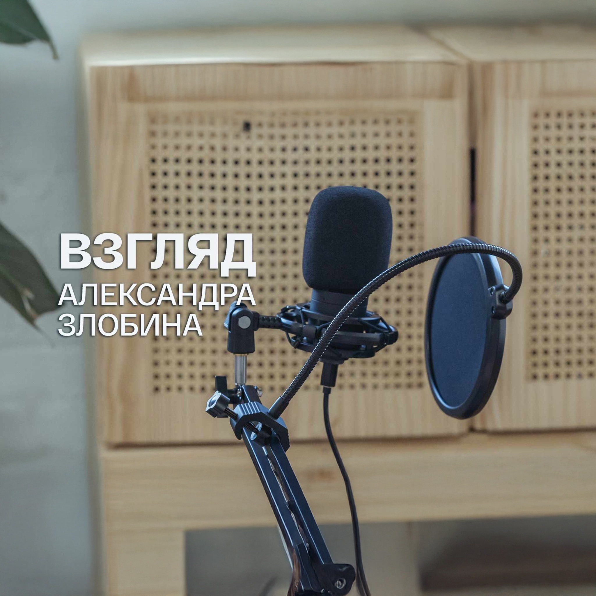 Взгляд Александра Злобина