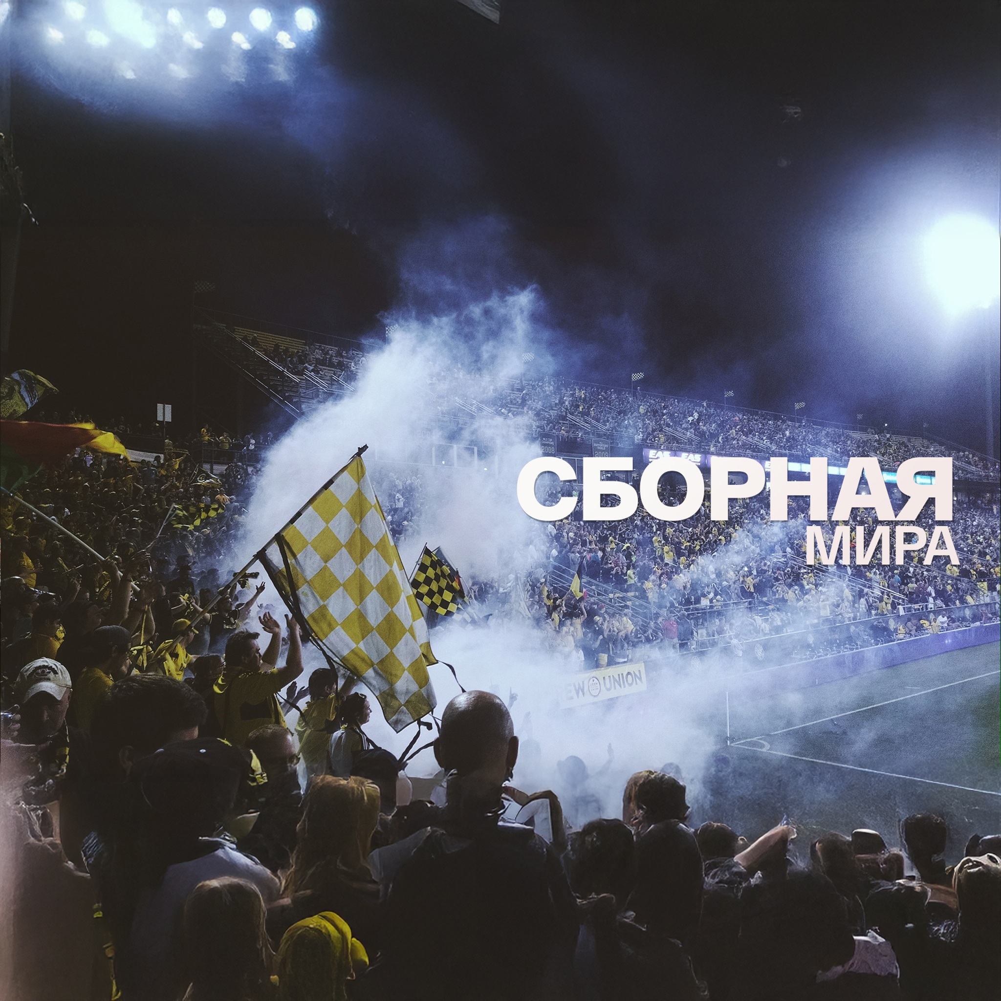 Сборная мира