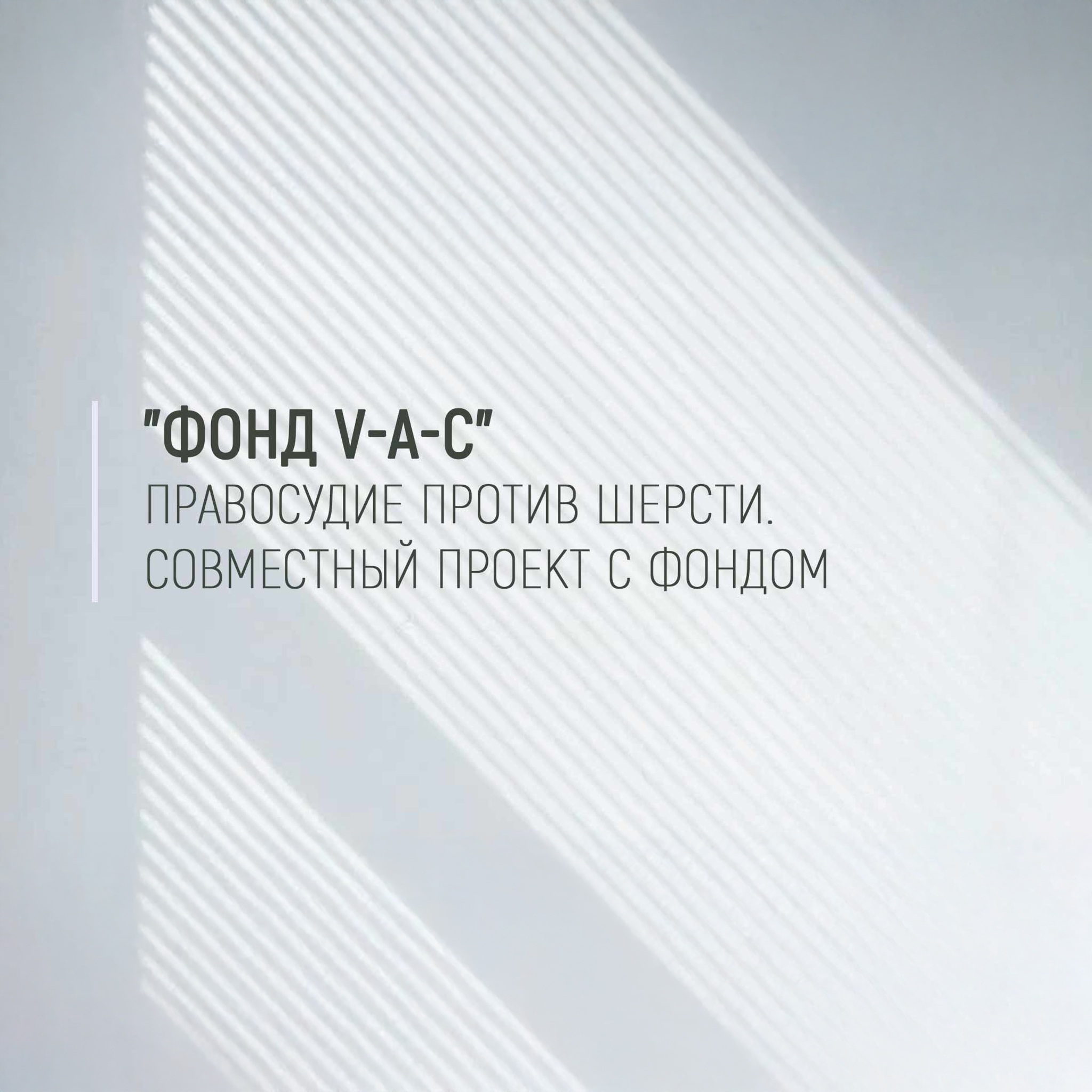 Фонд V-A-C. Из центра. Совместный проект с фондом