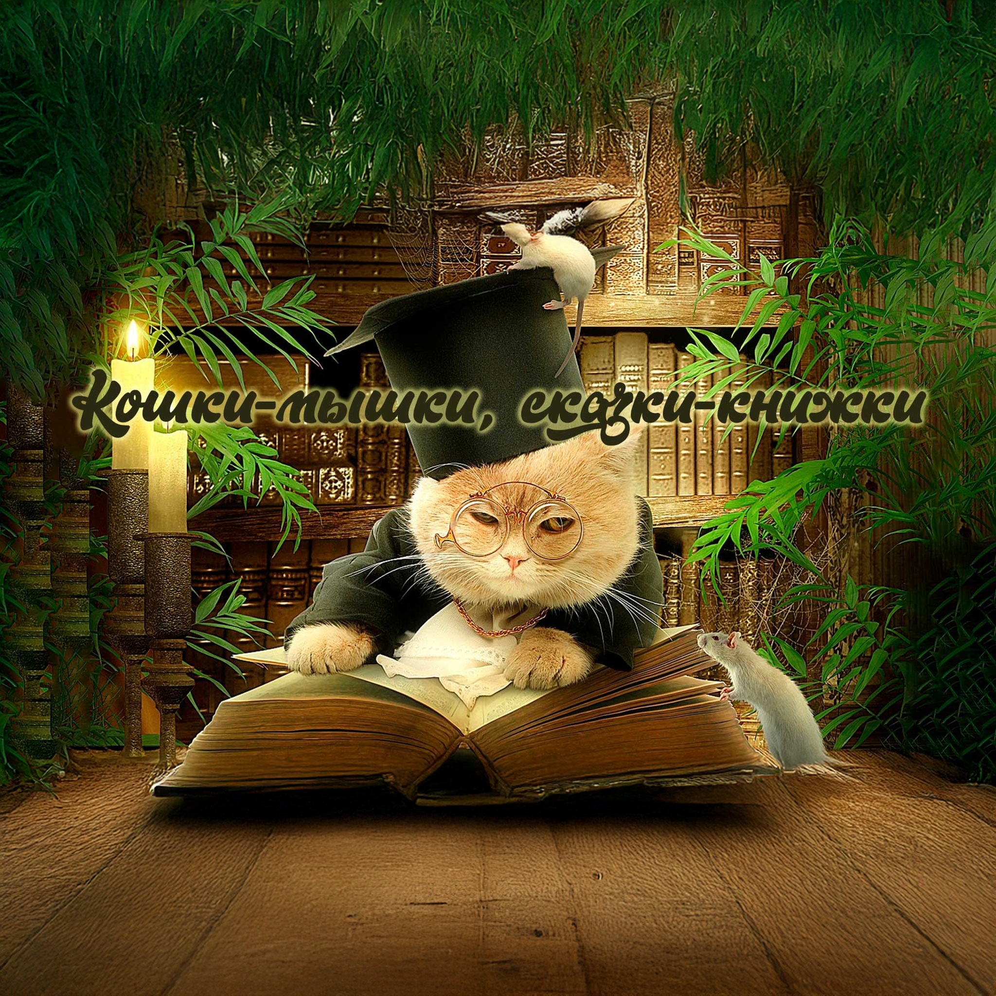 Кошки-мышки, сказки-книжки