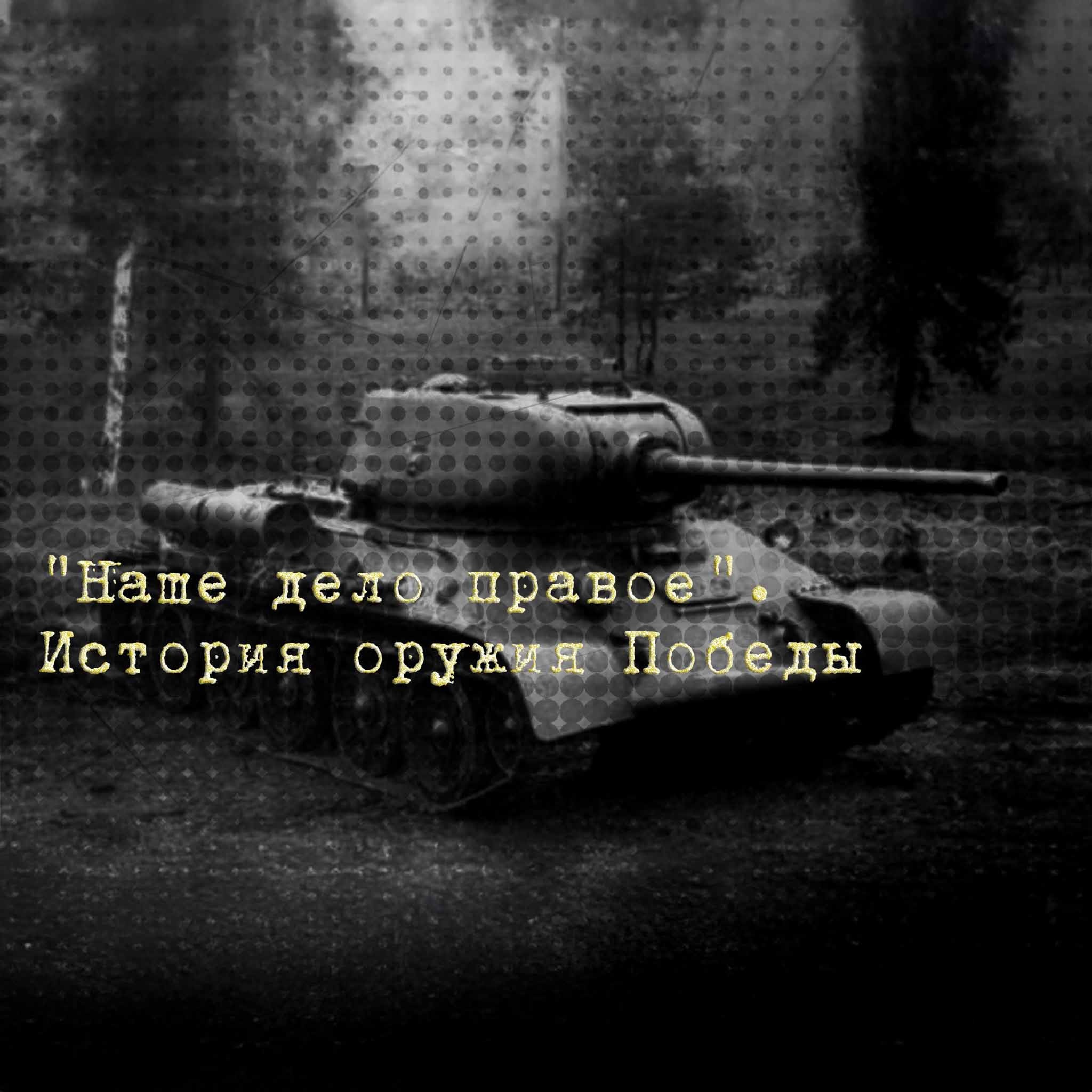 Наше дело правое. История оружия Победы