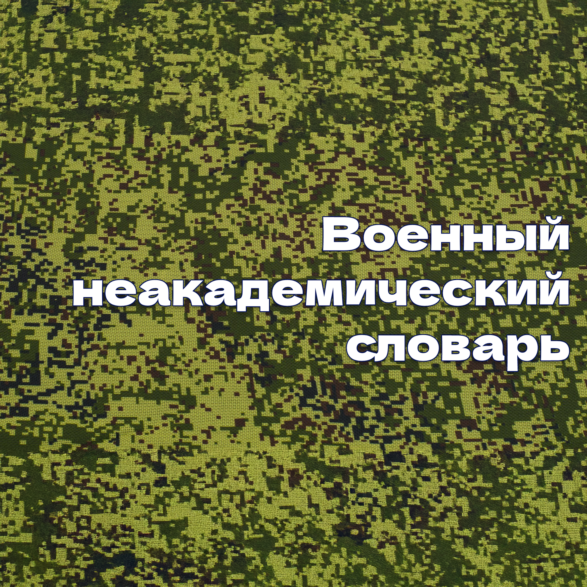 Военный неакадемический словарь