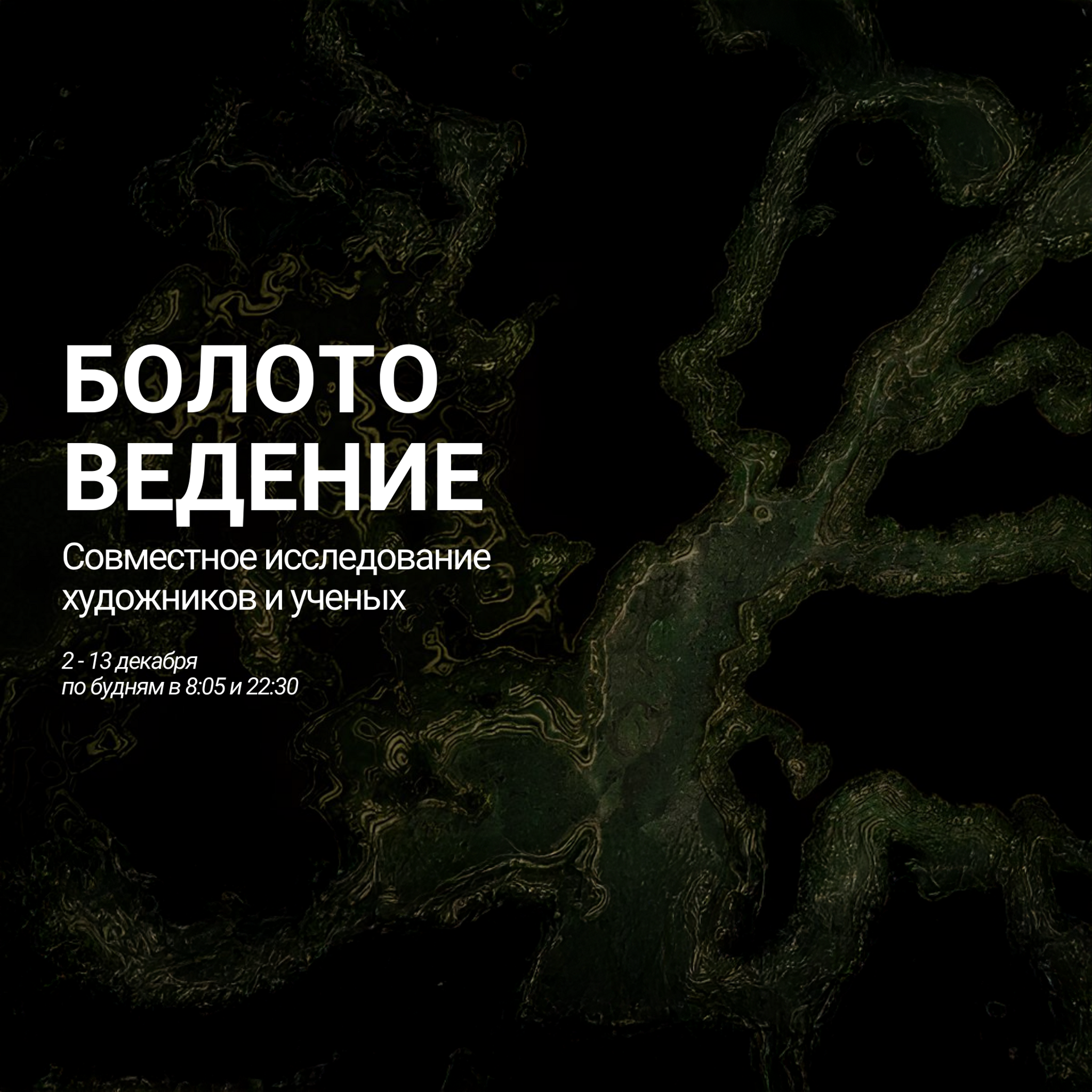 Болотоведение. Совместное исследование художников и ученых