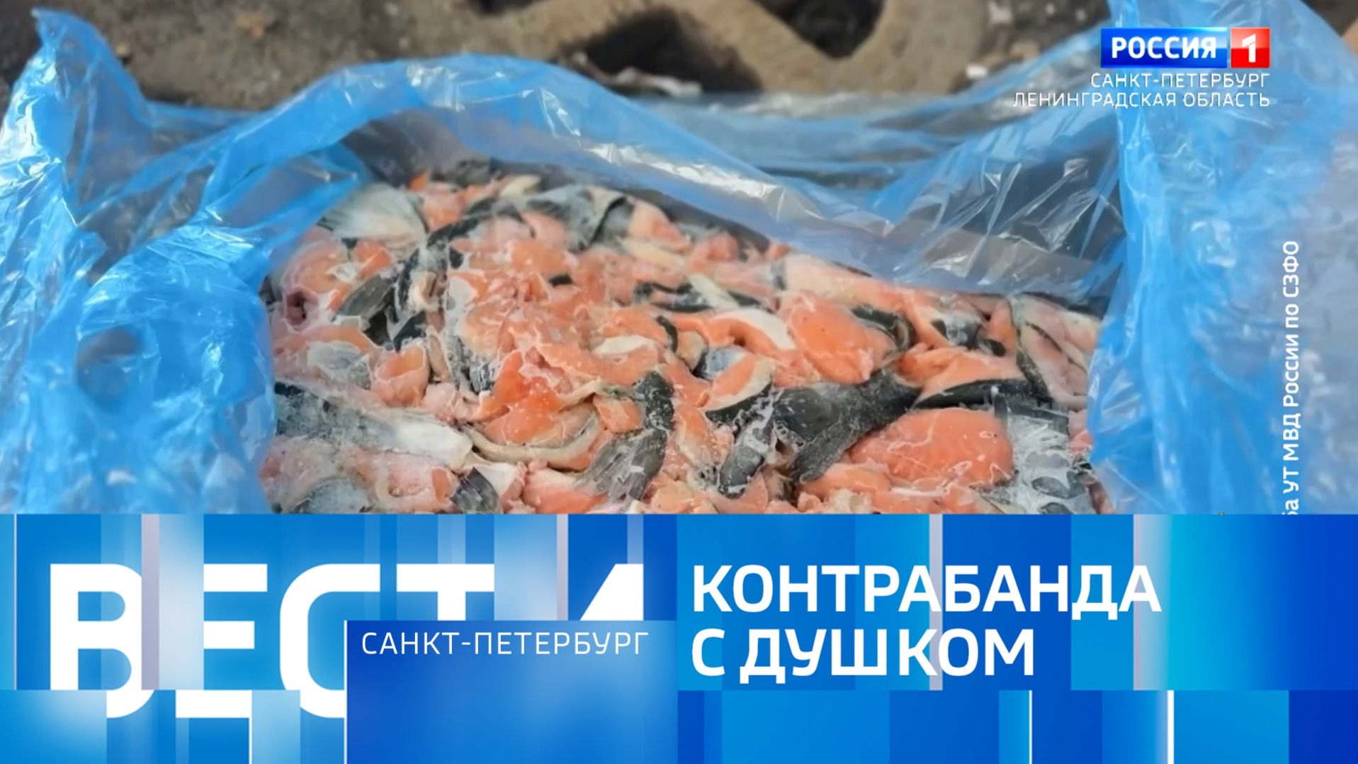 Эфир от 25.03.2026 (09:30)