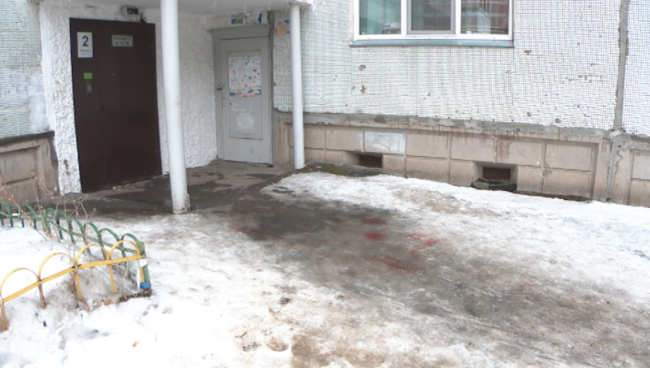 В красноярском Академгородке овчарка напала на пожилую женщину