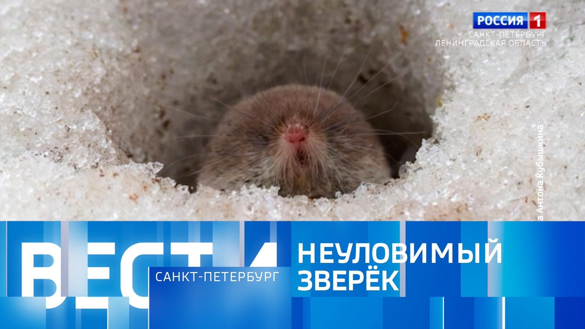 Эфир от 25.03.2026 (11:30)