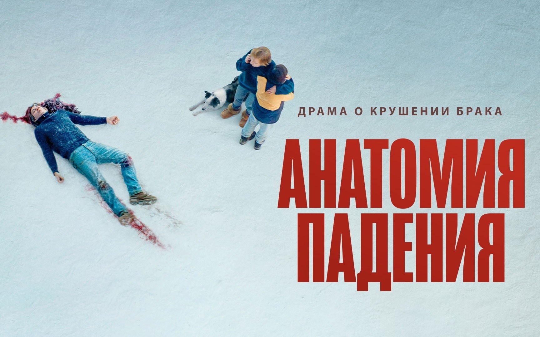 Анатомия падения