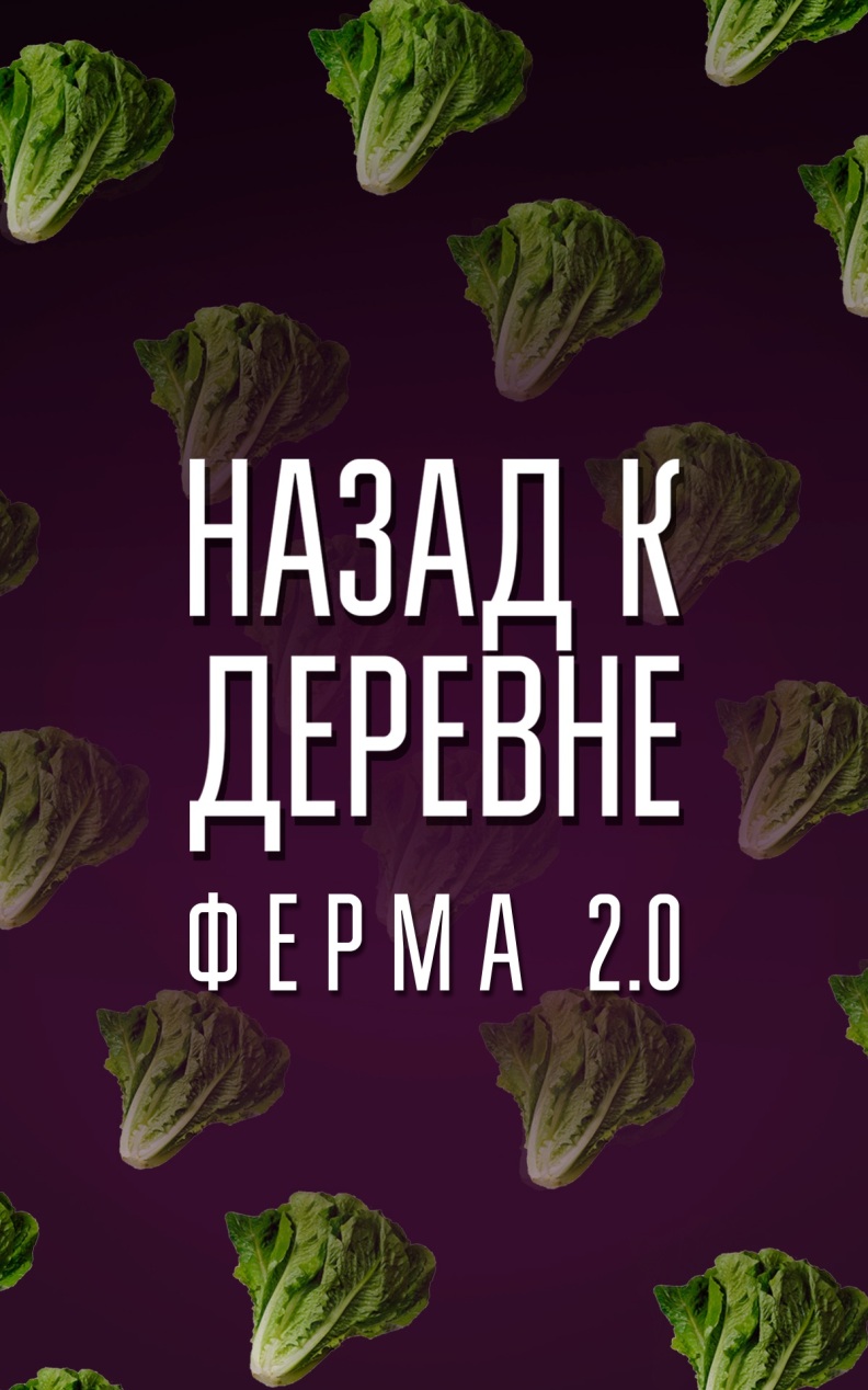 Назад к деревне. Ферма 2.0