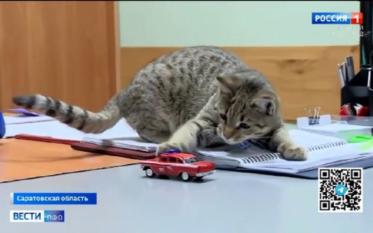 Вести ПФО. Приволжье