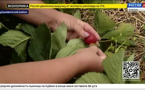 Эфир от 30.06.2026 (17:30)