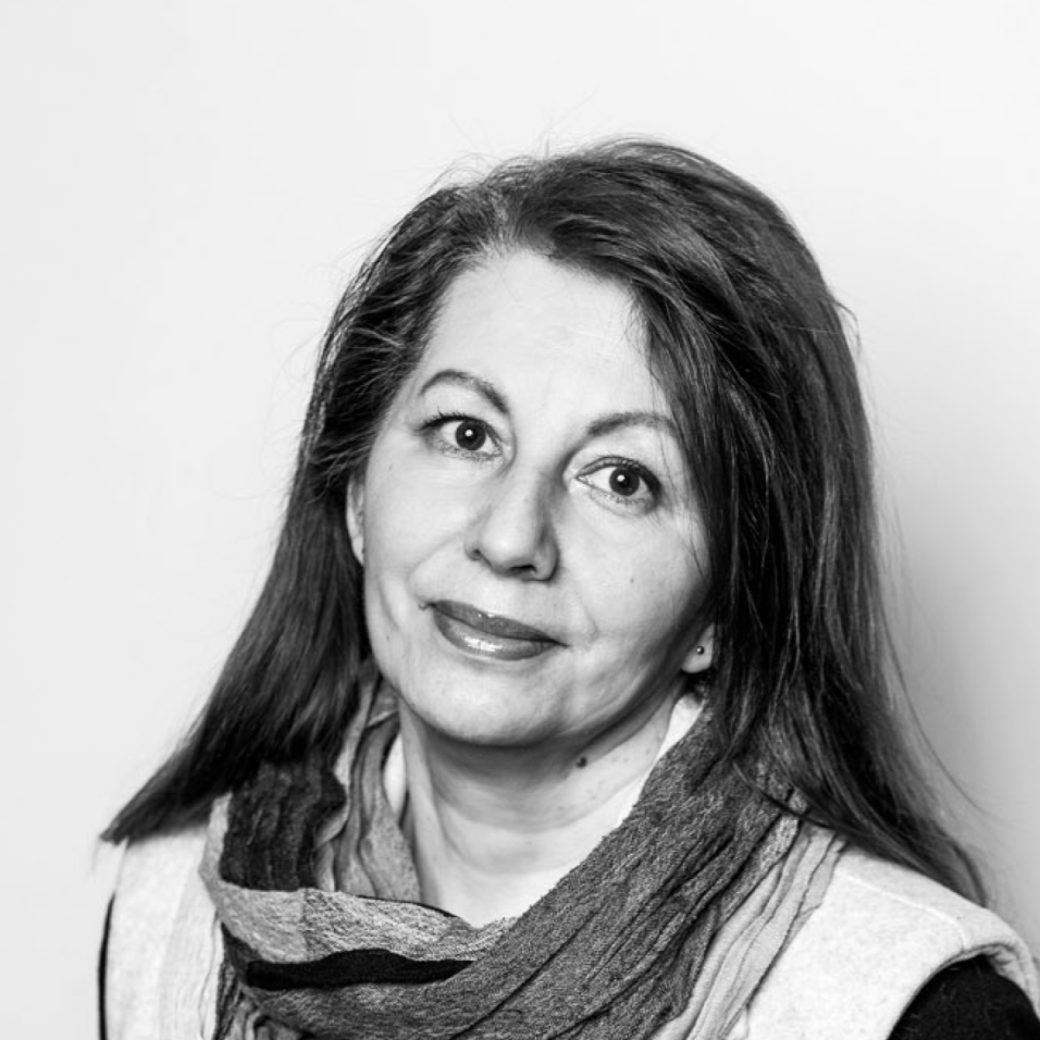 Елена Колчина