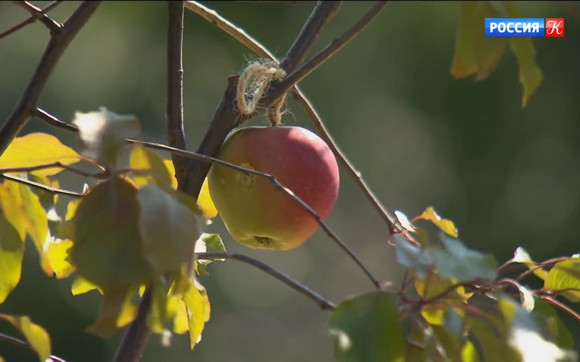 Фестиваль ландшафтного искусства "Сады и люди" начался в усадьбе "Люблино"