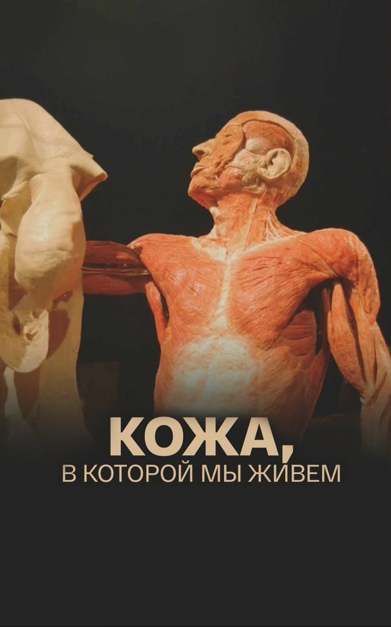 Кожа, в которой мы живем