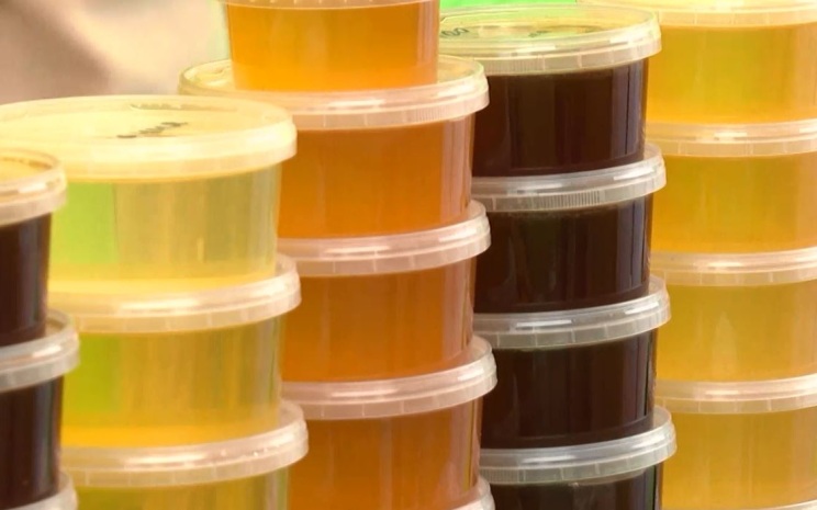 Мёд, свечи, прополис: пасечники представили продукты пчеловодства на ярмарке в Йошкар-Оле