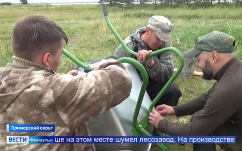 На берегу Белого моря Кенозерский национальный парк воплощает проект памяти «Унский лесозавод: доступ разрешён»