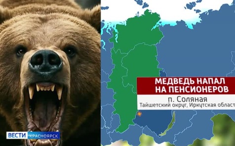 В Иркутской области двое мужчин пострадали в результате нападения медведя