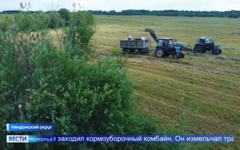 Август — время не только битвы за урожай, но и горячая пора для кормозаготовительных кампаний