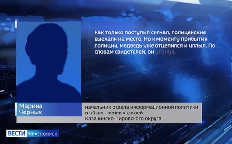 На паромной переправе в селе Галанино заметили медведя
