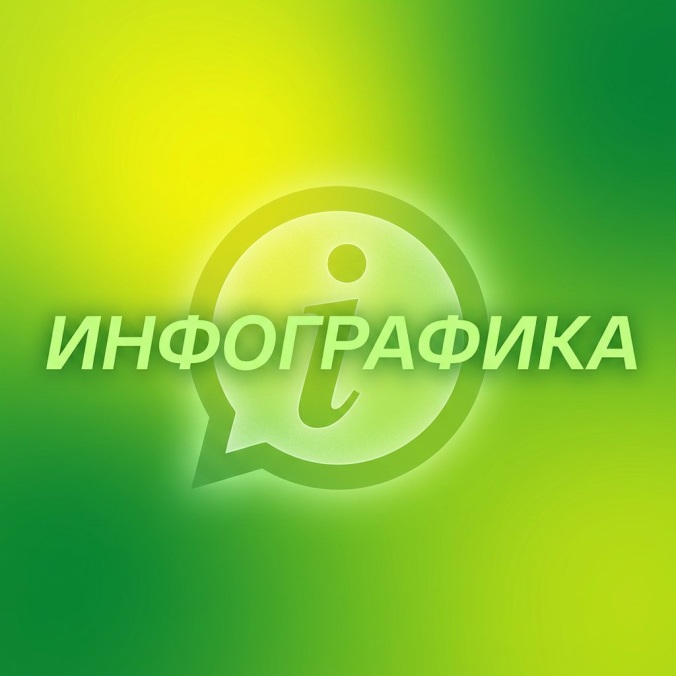 Инфографика