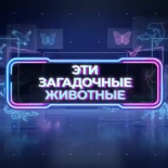 Эти загадочные животные