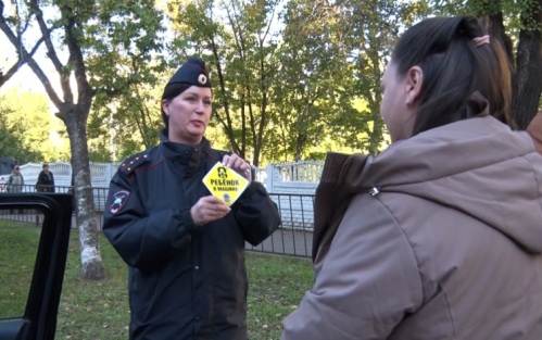 Операция "Ребёнок — главный пассажир": ГИБДД Приамурья усилило рейды у школ в часы пик