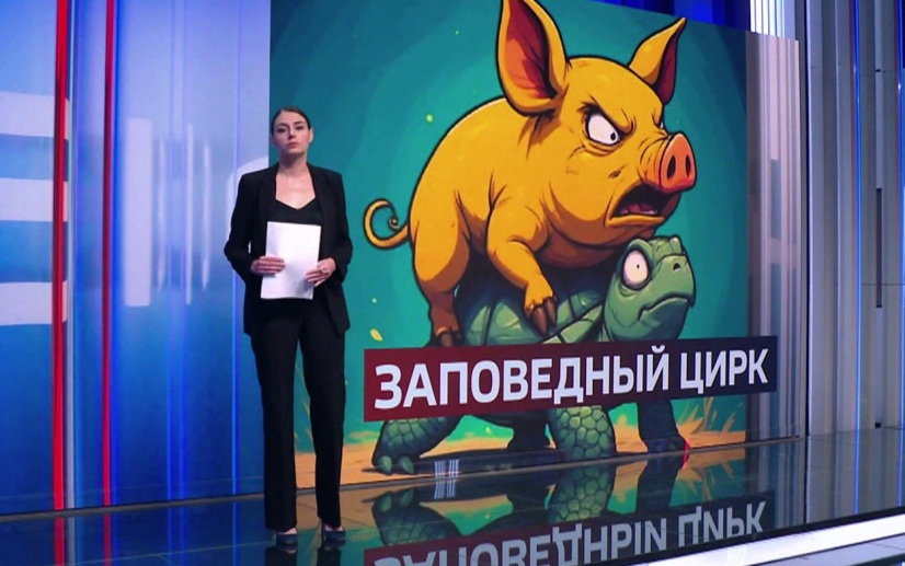 Мрачные ритуалы и жизнь за границей: чем украинцы удивляют соцсети