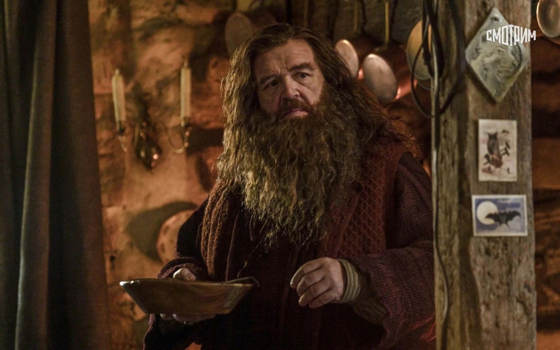 Гарри Поттер