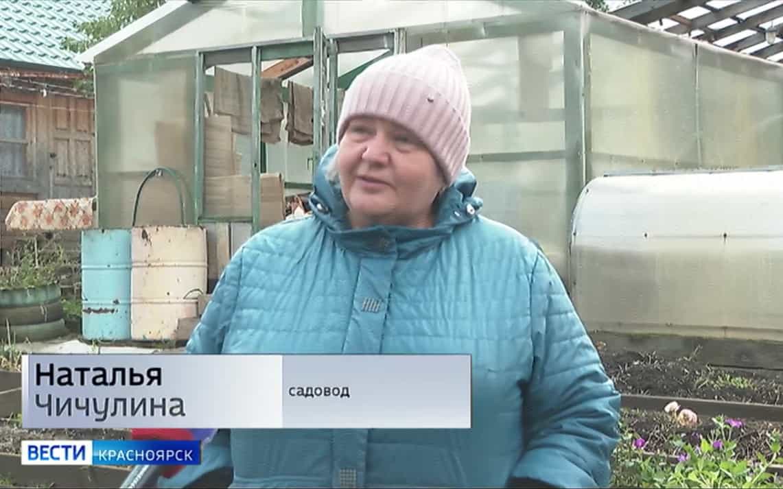 Красноярские садоводы готовят участки к зиме