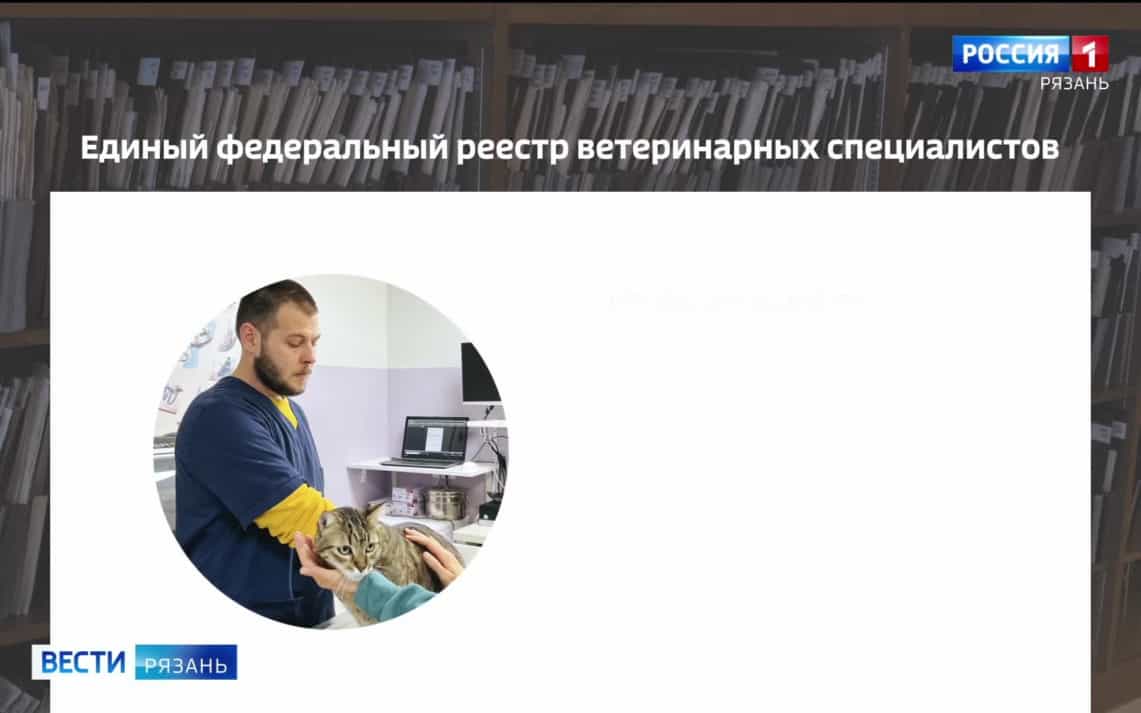 В России предлагают создать единый реестр ветеринарных врачей