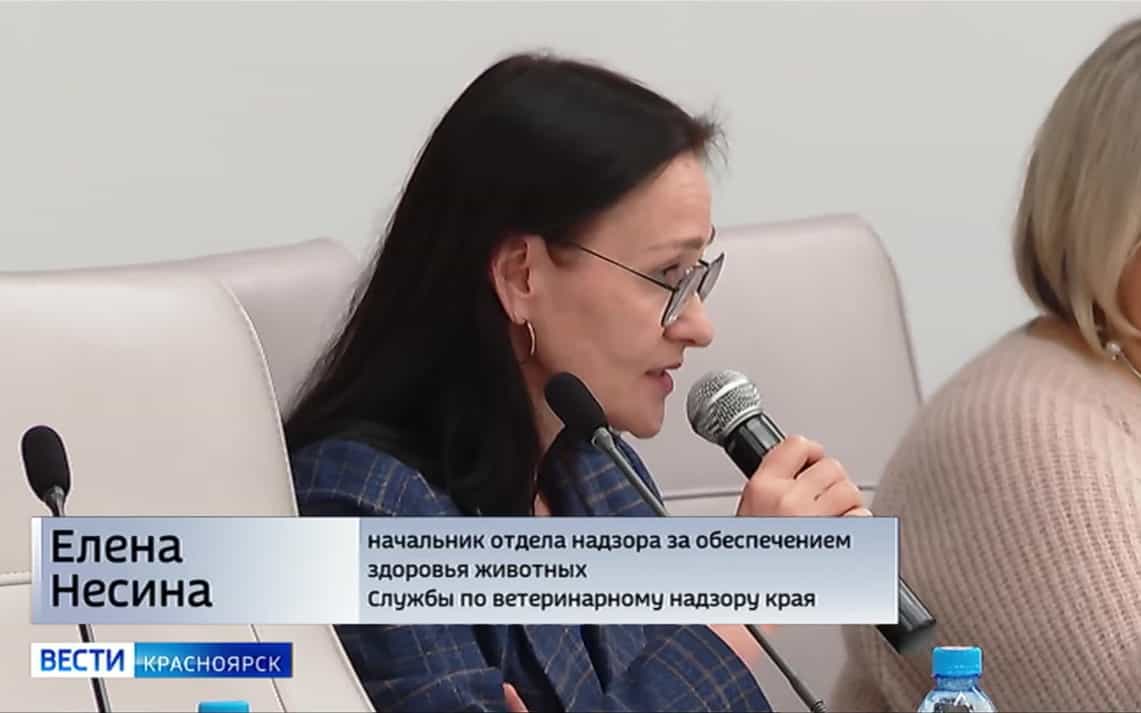Ситуацию с медведями в крае признали критической