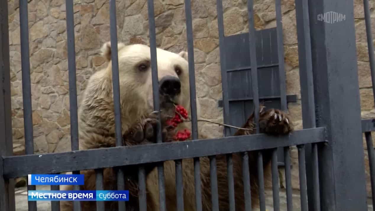 Местное время. Южный Урал. Суббота