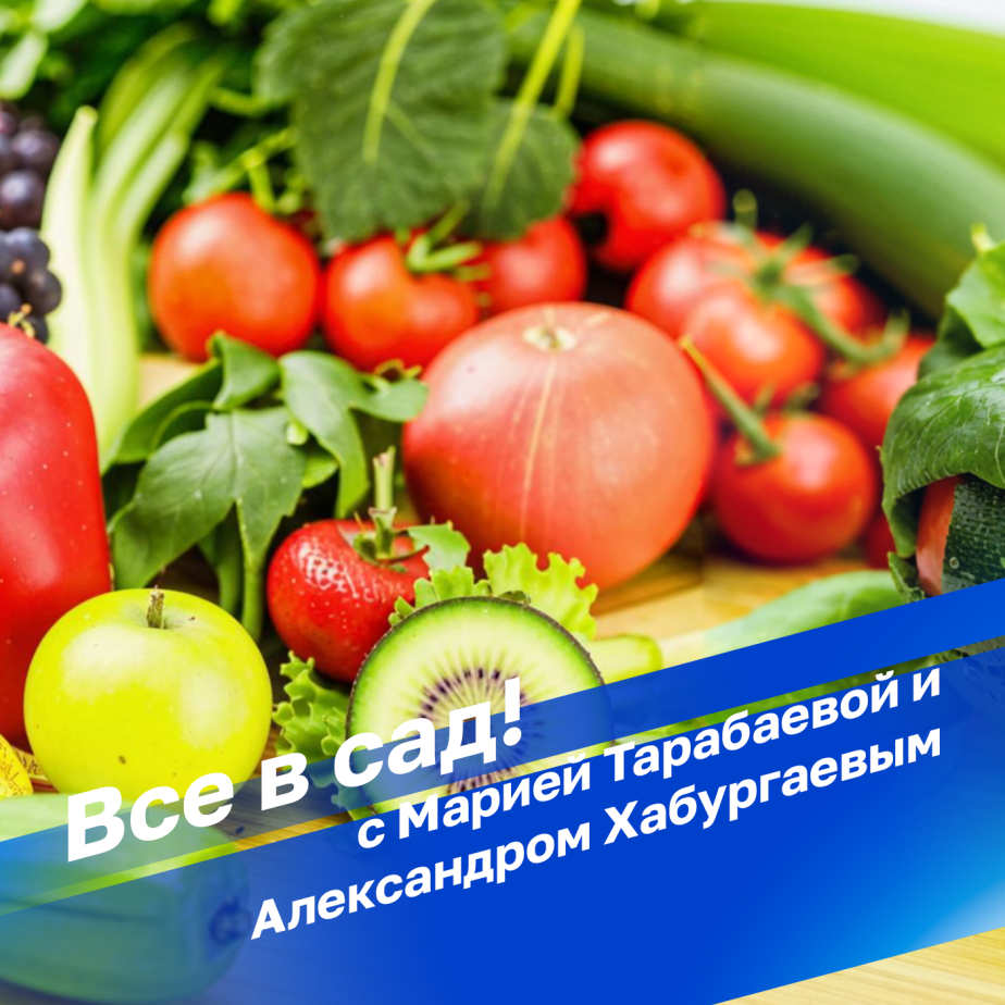 Советы по уходу за орхидеями