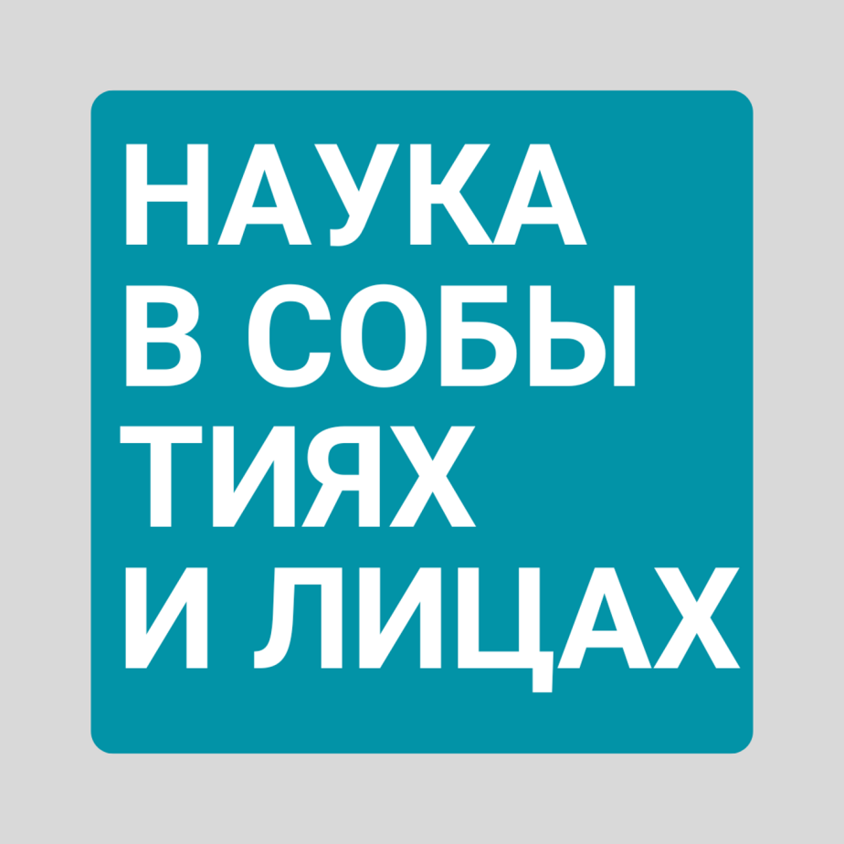 Защита монарха