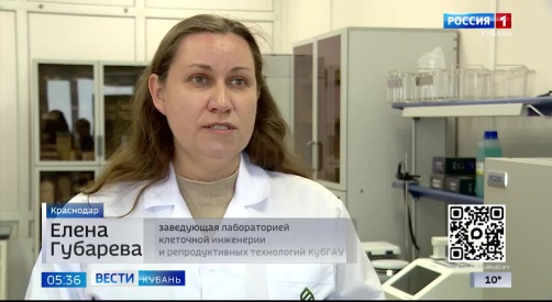 Эфир от 06.04.2026 (05:35)